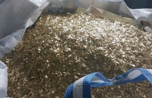 Cở sở thu mua phế liệu Bắc Ninh giá cao #TOP1