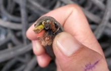 Thu mua đồng phế liệu giá cao tại Hà Nội #TOP1