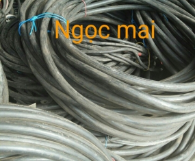 Thu Mua Dây Đồng Phế Liệu Giá Cao